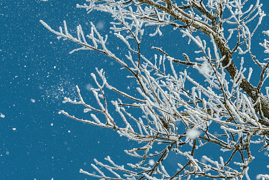 14 січня замети в Україні стануть ще більшими: де сніжитиме - we.ua