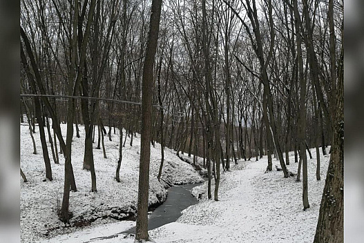 Морози в Україні надовго: що кажуть синоптики про Азійський антициклон та погоду у вихідні - we.ua