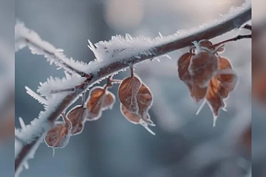 Подекуди засніжить і маленький «плюс»: яку погоду на тижні 19 — 25 січня обіцяють українцям синоптики - we.ua