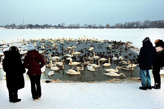 22 січня погода в Києві почне змінюватися - we.ua
