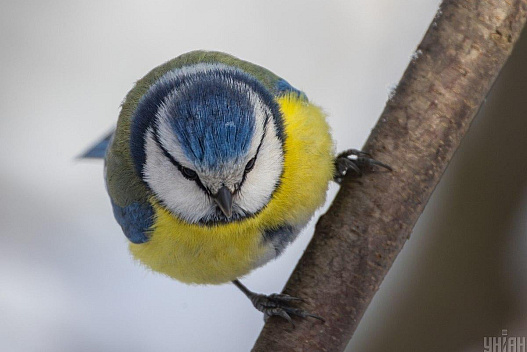 Аномальний холод вже пройдено: до України мчить довгоочікуване потепління на 5-7 градусів - we.ua