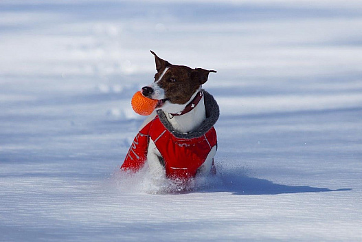 Значне потепління вже на носі, морози відступлять, - синоптикиня - we.ua