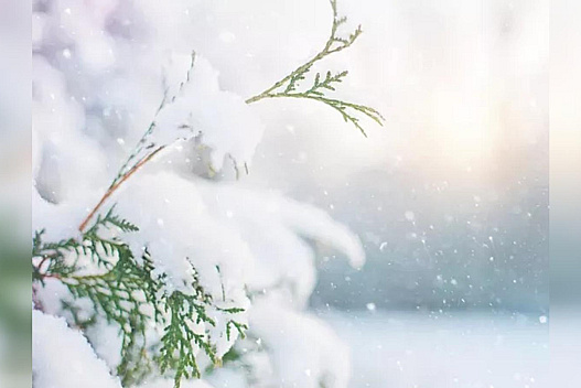 Відлига з туманами та дощами вже скоро: синоптик розповів про погоду в останній тиждень січня - we.ua