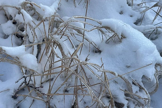 Україну накриє похолодання до -16 градусів, але потім прийде потепління: прогноз на 26 січня - we.ua