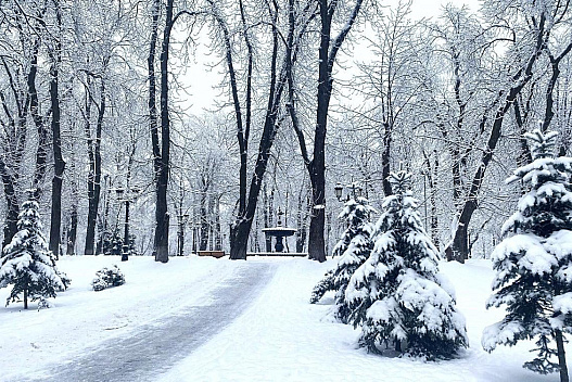 Якою буде погода у Києві до кінця січня: прогноз Укрогідрометцентру - we.ua