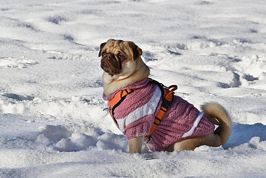 В Україну прийшло довгоочікуване потепління, але морози скоро повернуться - we.ua
