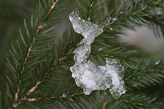 26 січня в Україну увірветься відлига: майже по всій країні буде 