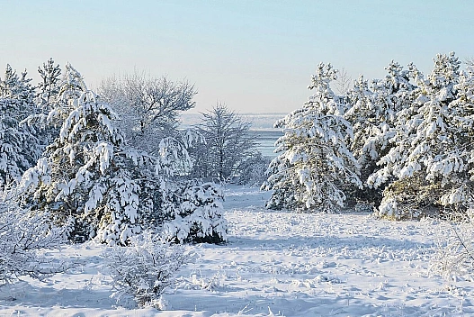 Прогноз погоди на 27 січня: в Україні очікуються температурні контрасти та сильний вітер - we.ua