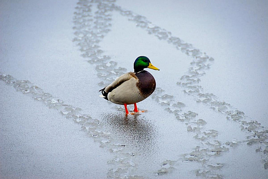 Укргідрометцентр повідомив, як зміниться погода найближчими днями - we.ua