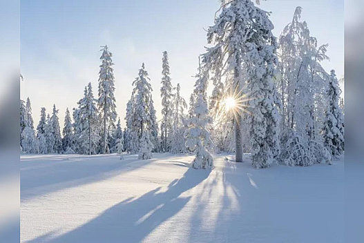 Україну знову накриє арктичний холод: синоптикиня назвала дати - we.ua