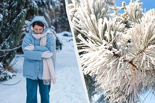 Синоптики дали прогноз погоди на лютий 2026: коли потеплішає і скільки буде снігу - we.ua