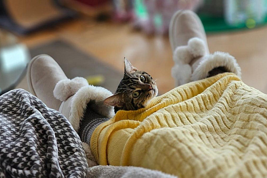 Кінець потепління: 30 січня до України повернуться морози - we.ua