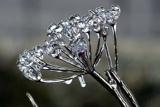 В Одесі на 30 січня оголосили підвищений рівень небезпеки - we.ua