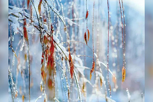 Обіцяне синоптиками похолодання прийшло в Україну: яких примх погоди чекати у вихідні - we.ua