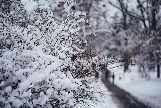 Україна готується до нового різкого похолодання: якою буде погода у перший день лютого - weua.social