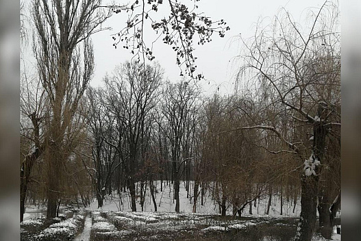 Погода у лютому здивує: синоптик розповів, чого чекати українцям - weua.social