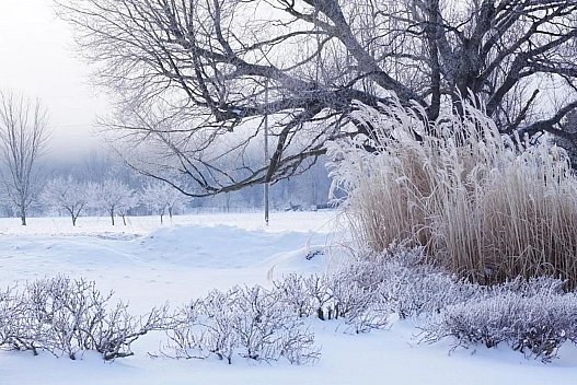 Морози до -28°C та без опадів: синоптик дала прогноз на 3 лютого - weua.social