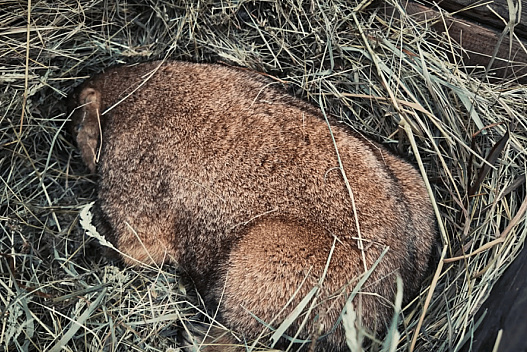 Бабак Тимко спрогнозував, коли до України прийде справжня весна - weua.social