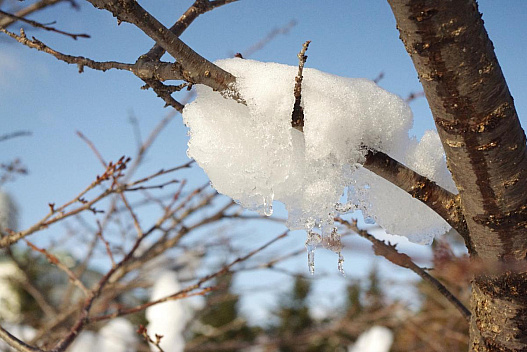 4 лютого українці відчують перші прояви потепління, - синоптикиня Діденко - we.ua