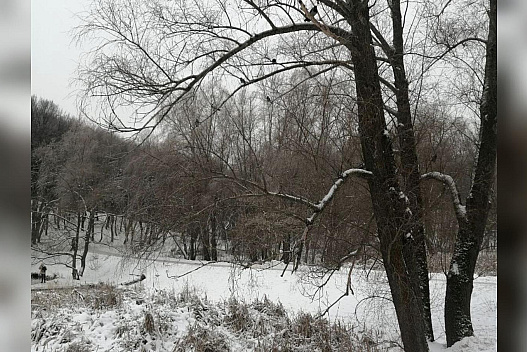 Морози відступають, але ще повернуться: синоптики обіцяють потепління вже завтра - weua.social