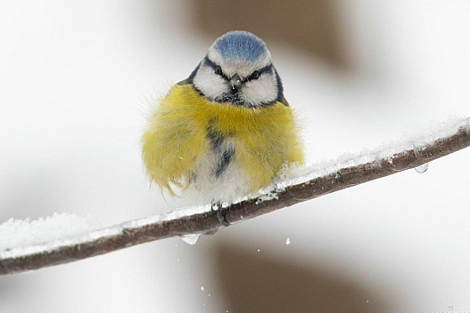 Метеорологиня повідомила, чи варто чекати на швидке потепління в Україні - weua.social