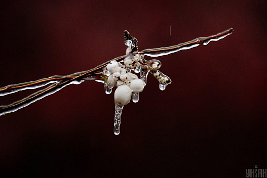 Негода в Одесі: синоптики оголосили жовту небезпеку - we.ua