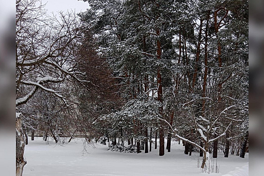 «Нова порція морозів»: в Україну знову йде похолодання - we.ua