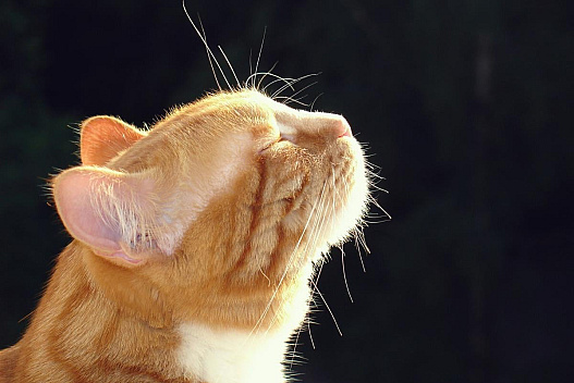 Синоптикиня назвала точну дату, коли до України прийде довгоочікувана відлига - we.ua