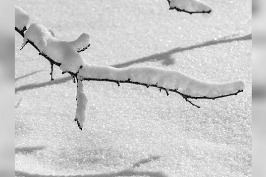 Україну накриють невпинні снігопади та мороз: синоптики шокують прогнозом - we.ua