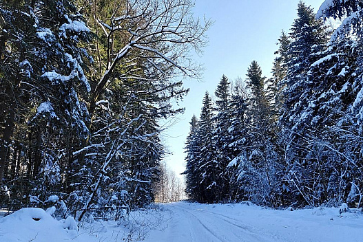 Перед вихідними в Україні стане холодніше - we.ua