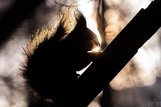 До України йде відчутне потепління: синоптикиня Діденко назвала точну дату - we.ua