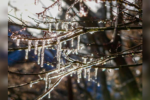 Весна настане з дня на день: наступного тижня в Україні очікується до +13 - we.ua