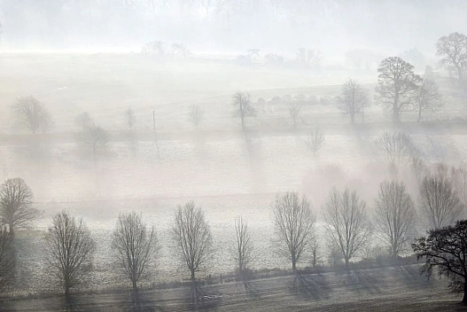 Опади та тумани: синоптики дали прогноз погоди на 24 лютого - we.ua