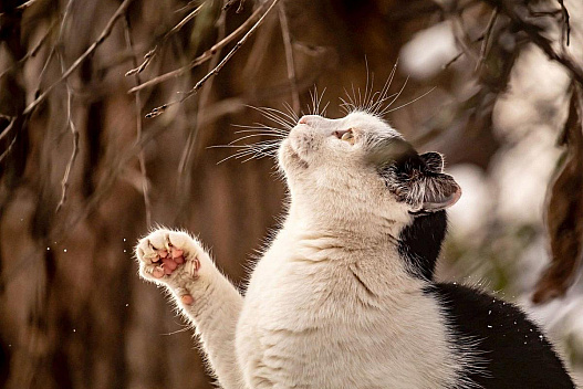 26 лютого погода в Україні покращиться - we.ua