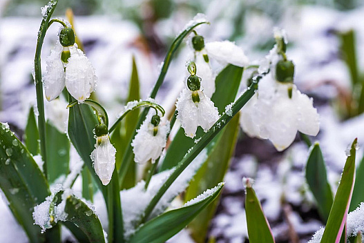 До -13° і знову мокрий сніг: синоптик дав невтішний прогноз на березень - we.ua