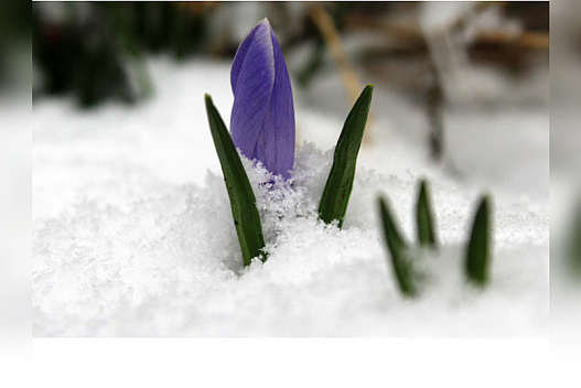 В Україну йдуть похолодання та мокрий сніг: коли зміниться погода - we.ua