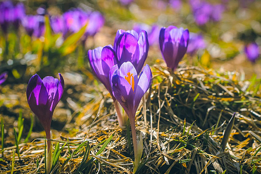 Синоптик розказав, коли в Україні потеплішає та припиняться дощі - we.ua