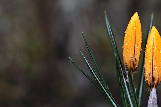 19 березня Україну затягне хмарами і майже скрізь йтиме дощ - we.ua