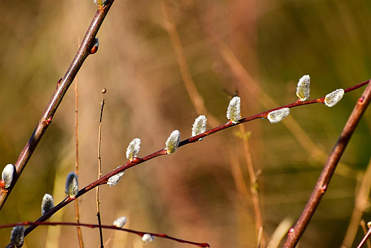 На вихідних погода в Україні почне змінюватися - we.ua