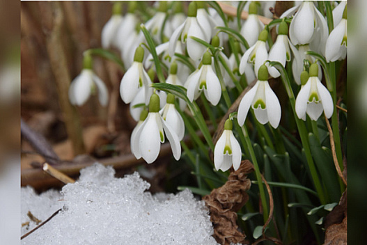 Похолодання на заході та сильні дощі по всій Україні: синоптики прогнозують зміну погоди наступного тижня - we.ua