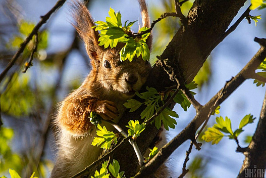 Беріть вихідний: синоптикиня назвала найтепліший день на наступному тижні - we.ua