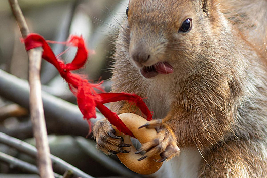 Хмар побільшає, але без дощу: яка погода буде у Києві 25 березня - we.ua