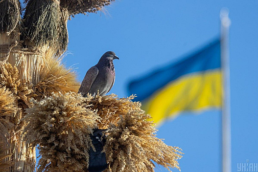 Київ розігріє до +16°: названо дату, коли до столиці прийде розкішна весна - we.ua