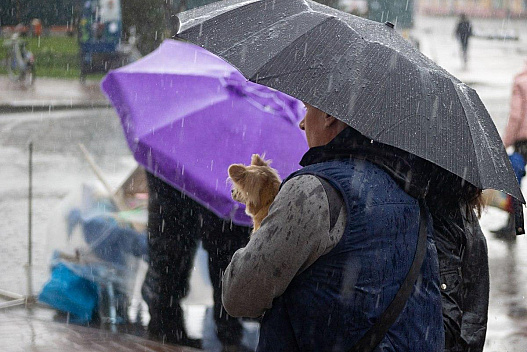 Дощі, мокрий сніг і вітер накриють Україну вже скоро: синоптик зробив прогноз - we.ua