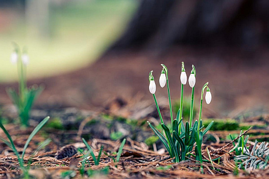 Тішитися теплом залишилося недовго: синоптикиня попередила про похолодання в Україні - we.ua