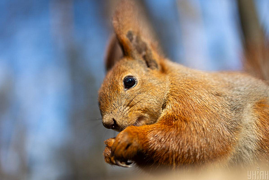 Перед вихідними в Києві стане помітно тепліше - we.ua