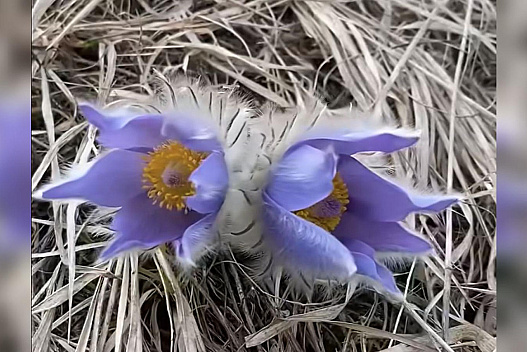 Діставайте пуховики: Україну накриє арктичний холод - we.ua