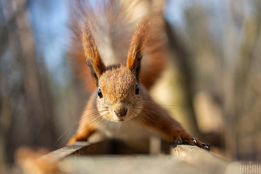 Вихідні в Україні будуть теплими, але з нюансами, - синоптикиня Діденко - we.ua