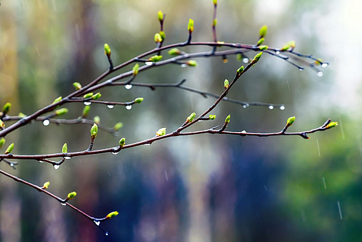 На вихідних погода в Україні почне змінюватися - we.ua