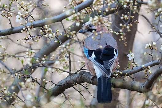 Напередодні Великодня в Україні похолоднішає: синоптик розказав про погоду у квітні - we.ua